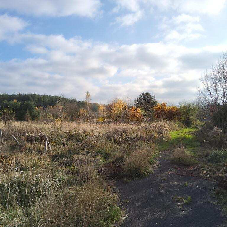 Działka Sprzedaż Szczecin Płonia