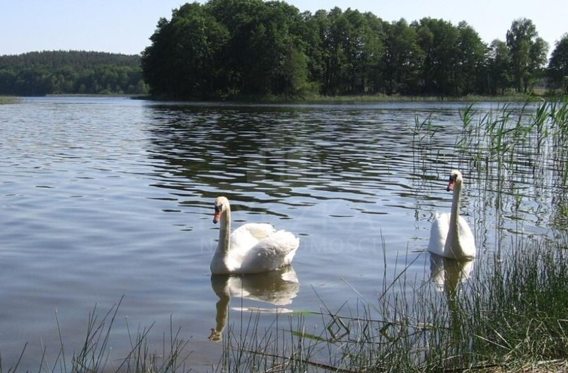 Działka Sprzedaż Zabierzewo