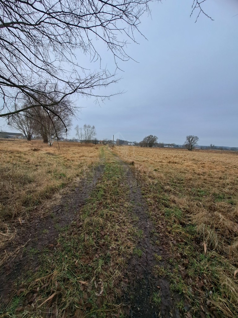 Działka Sprzedaż Dobra Hebanowa 15