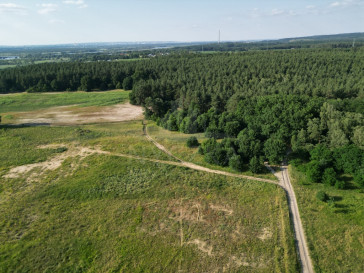 Działka Sprzedaż Daleszewo