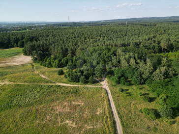 Działka Sprzedaż Daleszewo