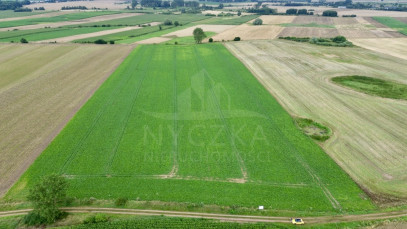 Działka Sprzedaż Bielice