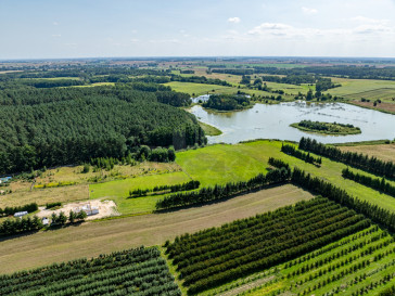 Działka Sprzedaż Binowo