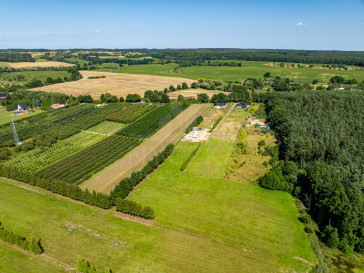 Działka Sprzedaż Binowo