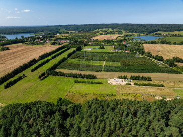 Działka Sprzedaż Binowo