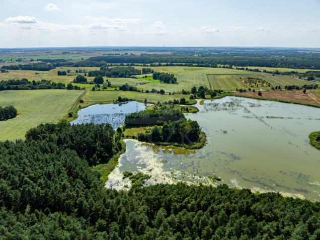 Działka Sprzedaż Binowo 1