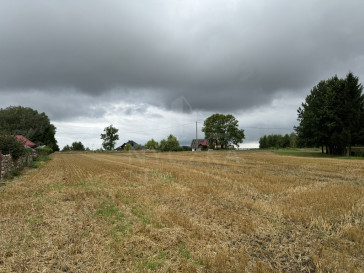 Działka Sprzedaż Kolonia Maszewo