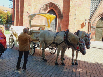 Mieszkanie Sprzedaż Szczecin Śródmieście-Centrum Grodzka