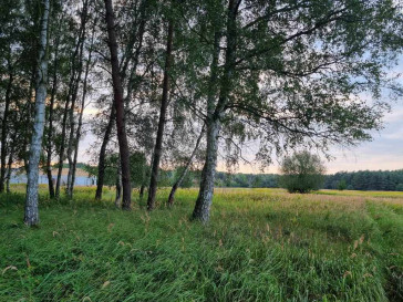 Działka Sprzedaż Szczecin Wielgowo Żywiczna