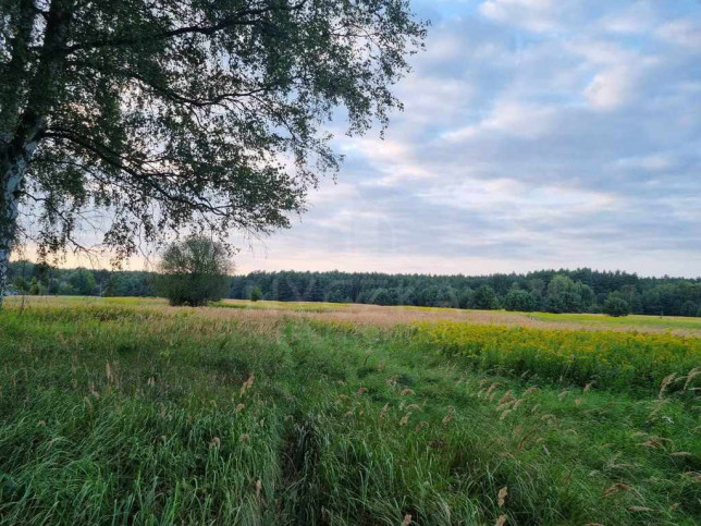 Działka Sprzedaż Szczecin Wielgowo Żywiczna 1