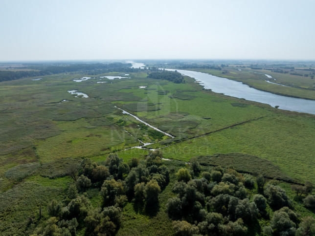 Działka Sprzedaż Stary Błeszyn 14