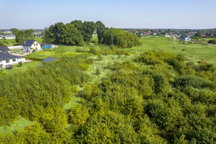 Działka Sprzedaż Kliniska Wielkie 3