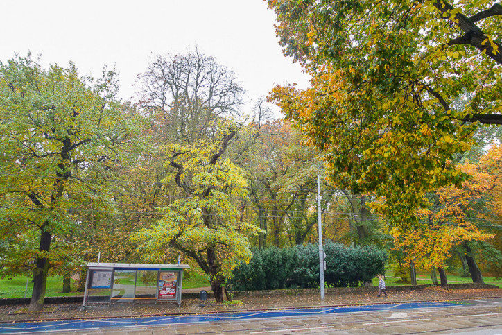 Mieszkanie Sprzedaż Szczecin Śródmieście Jacka Malczewskiego 22