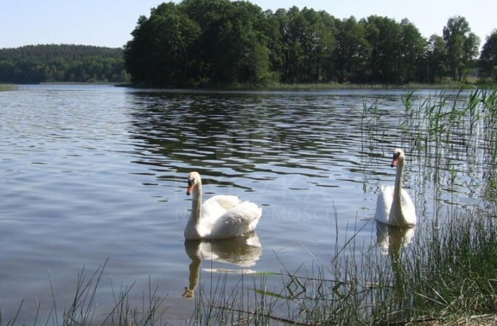 Działka Sprzedaż Zabierzewo 1