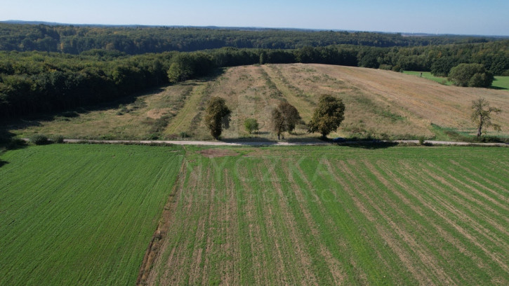 Działka Sprzedaż Dargocice 4