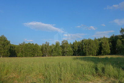 Działka Sprzedaż Grzepnica