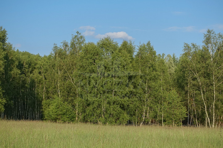 Działka Sprzedaż Grzepnica 7