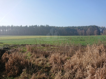 Działka Sprzedaż Raduń