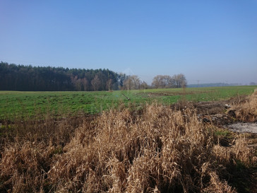 Działka Sprzedaż Raduń