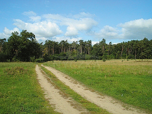 Działka Sprzedaż Kościno 4