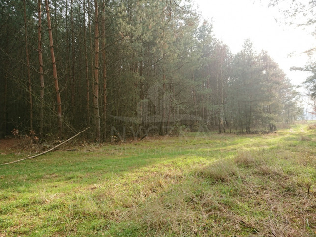 Działka Sprzedaż Starzyce 1