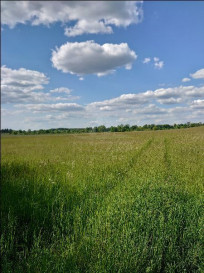 Działka Sprzedaż Dolina