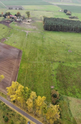 Działka Sprzedaż Borzysławiec 2