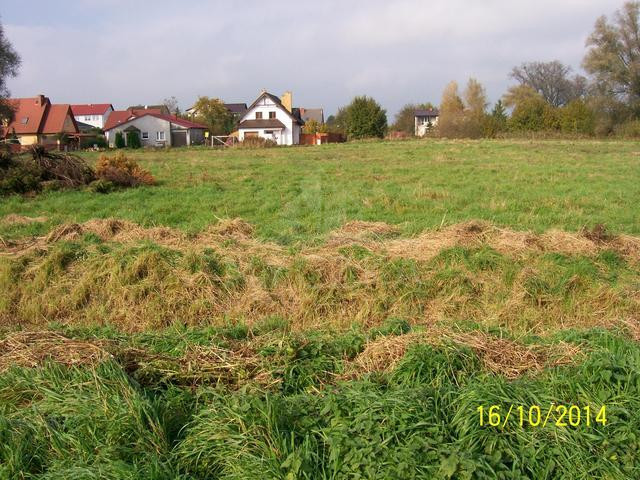 Działka Sprzedaż Choszczno 1