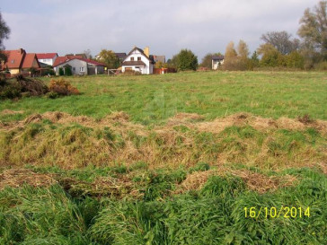 Działka Sprzedaż Choszczno