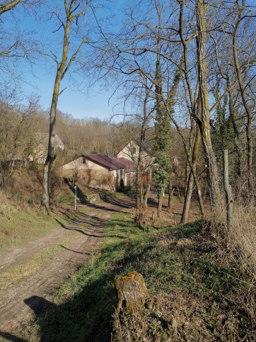 Dom Sprzedaż Stary Kostrzynek 13