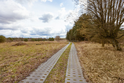 Działka Sprzedaż Krępsko Cicha