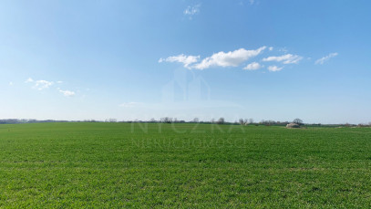 Działka Sprzedaż Siadło Górne