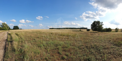 Działka Sprzedaż Wąwelnica