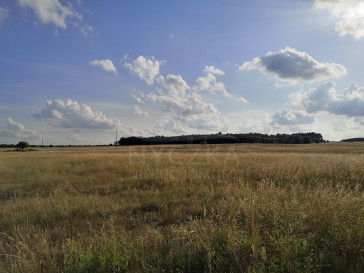 Działka Sprzedaż Wąwelnica