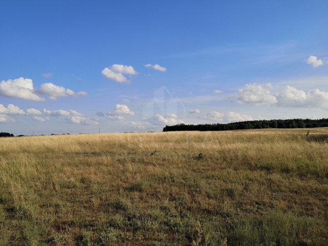 Działka Sprzedaż Wąwelnica 6