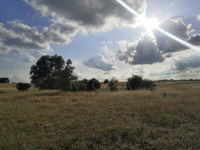 Działka Sprzedaż Wąwelnica 2