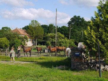 Obiekt Sprzedaż Sulimierz