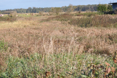 Działka Sprzedaż Wielbark