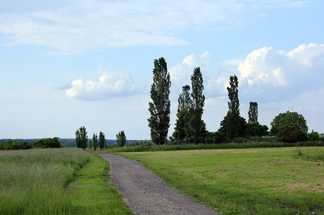 Działka Sprzedaż Bobolin 2