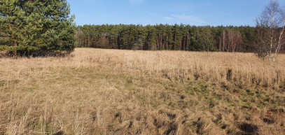 Działka Sprzedaż Białuń