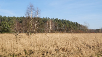 Działka Sprzedaż Białuń