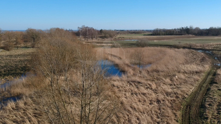 Działka Sprzedaż Szczecin Skolwin 5