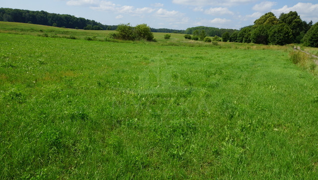 Działka Sprzedaż Bobolice 2