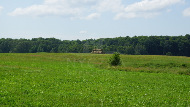 Działka Sprzedaż Bobolice 1