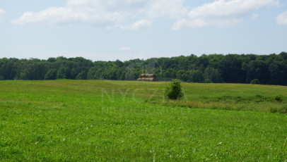 Działka Sprzedaż Bobolice