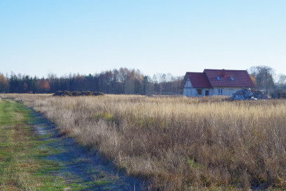 Działka Sprzedaż Niedźwiedź