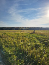 Działka Sprzedaż Białuń