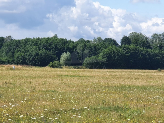 Działka Sprzedaż Szczecin Skolwin 1