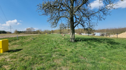 Działka Sprzedaż Szczecin Skolwin