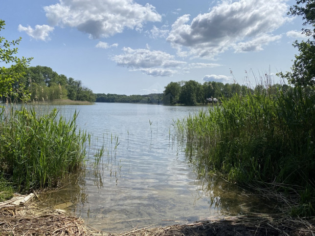 Działka Sprzedaż Przybiernów 5